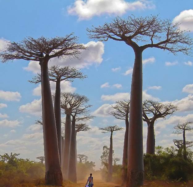 dusty roads, Madagascar 