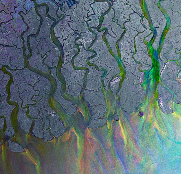 Ganges’ dazzling delta