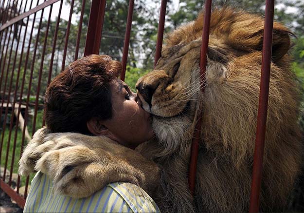 12 years ago, Ana Julia saved Jupiter from a circus where he was malnourished