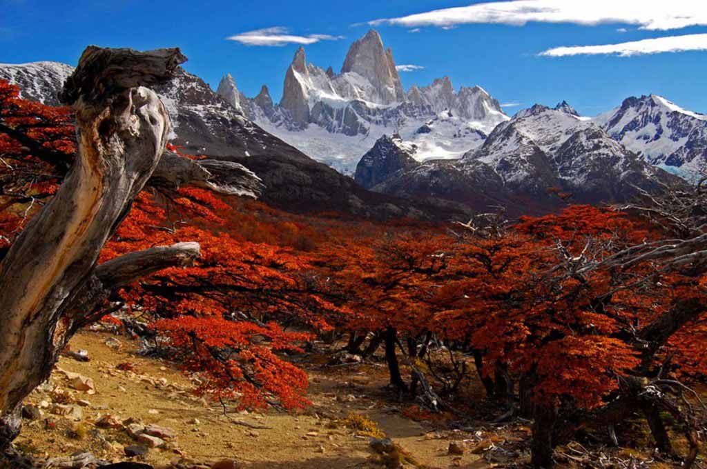 Patagonia, Mt. Fitz Roy, Argentina