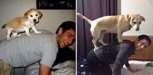 Adorable Picture Of Growing Up Pets