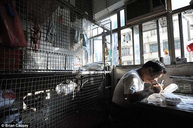Hong Kong’s Poorest Live in Crammed Metal Cages