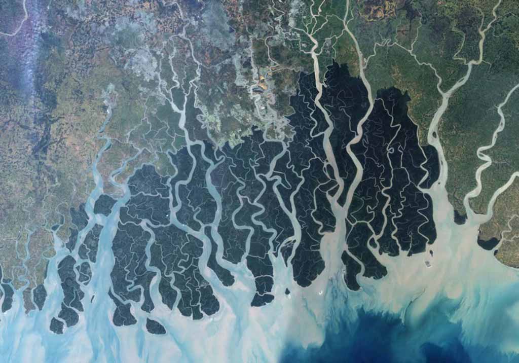  largest remaining tract of mangrove forest in the world. Bangladesh 
