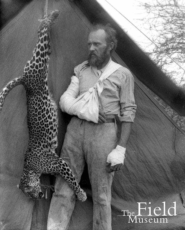 Carl Akeley posed with the leopard he killed with his bare hands after it attacked him, 1896