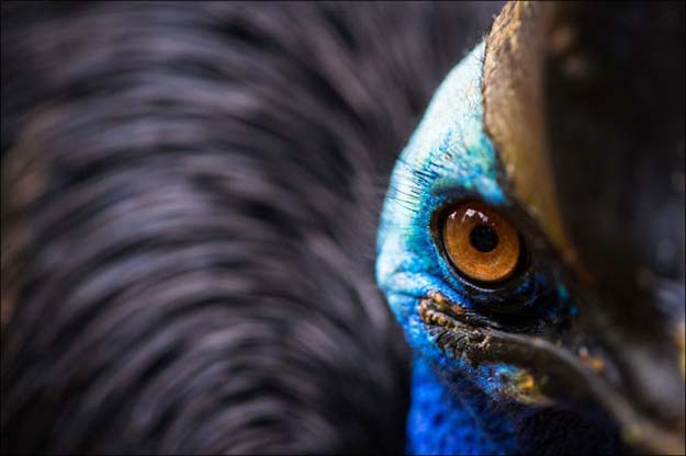 Stunning Entries From The 2013 National Geographic Photo Contest