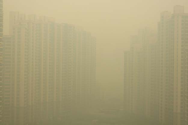In Shanghai they are experiencing the worst air pollution on record. Over 70 percent of China’s rivers and lakes are now too toxic for animals to drink from. Visibility in some parts of China was reduced to less than 5 meters.