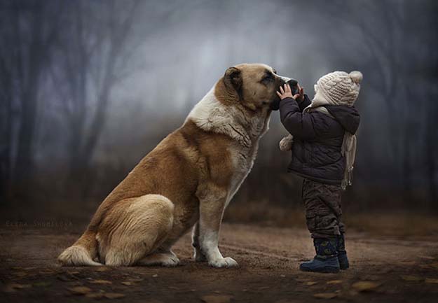 Elena Shumilova Takes Absolutely Beautiful Pictures Of Her Child With Animals