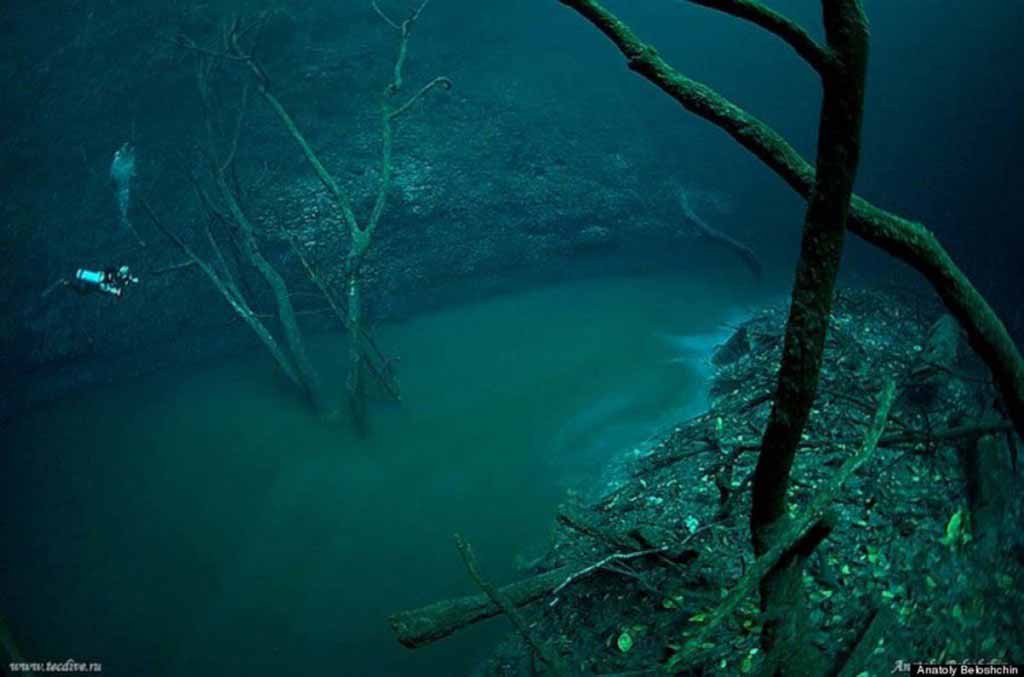 Underwater River, Cenote Angelita, Mexico