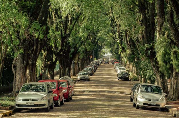 The Hidden Street of Porto Alegre Brazil is Probably the Most Beautiful Street in the World