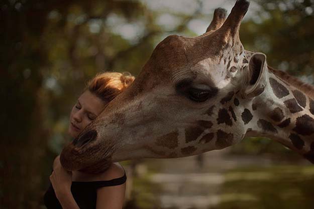 Russian Photographer Katerina Plotnikova Takes Amazing Photos With Real Animals