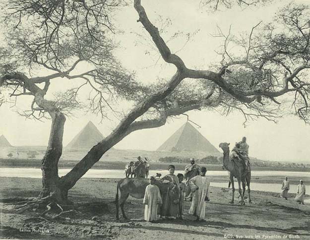 View of the Giza Pyramids