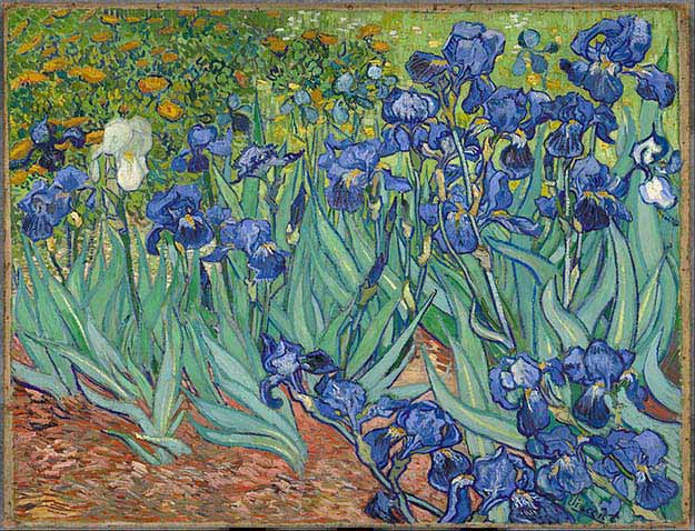 Irises – Vincent van Gogh