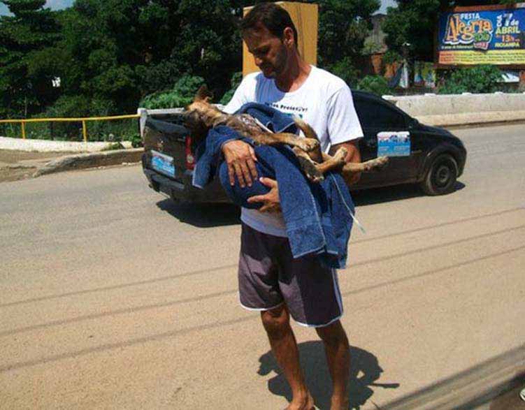 Stray dog found starved and maggot ridden is saved and nursed back health by his rescuer