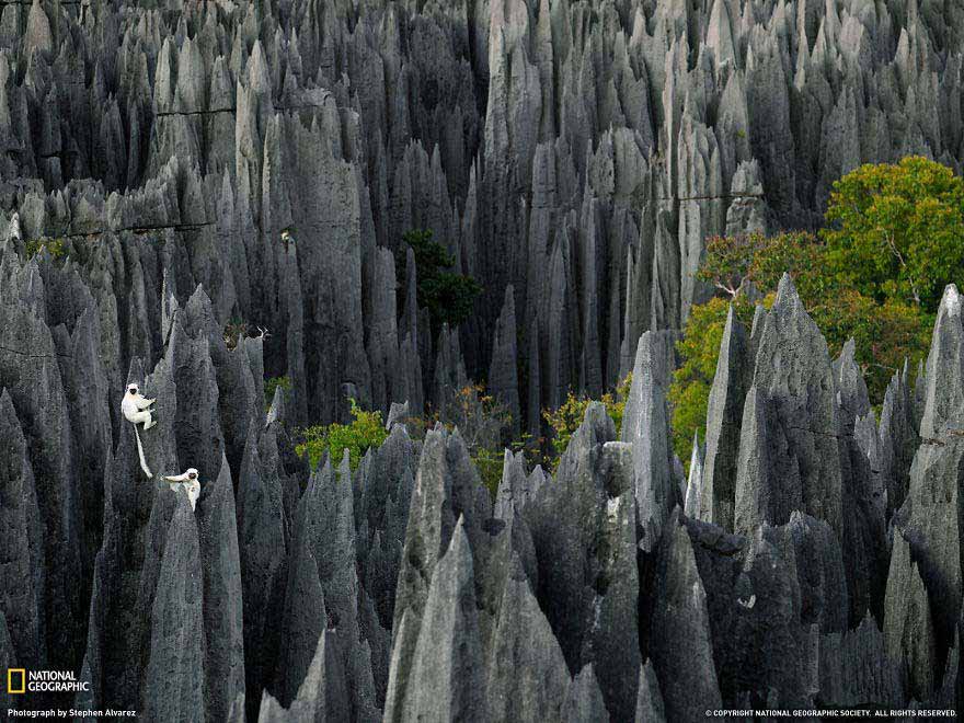 Tsingy de Bemaraha National Park, Madagascar, Africa