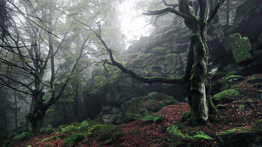 Upper Palatinatian Forest, Germany