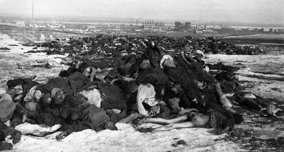 Piles of dead German bodies outside of Stalingrad, February 1943