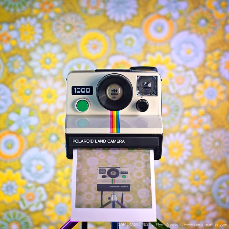 Vintage Cameras Selfies