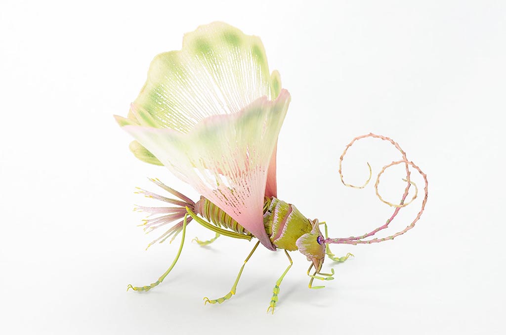 Hiroshi Shinno Insects