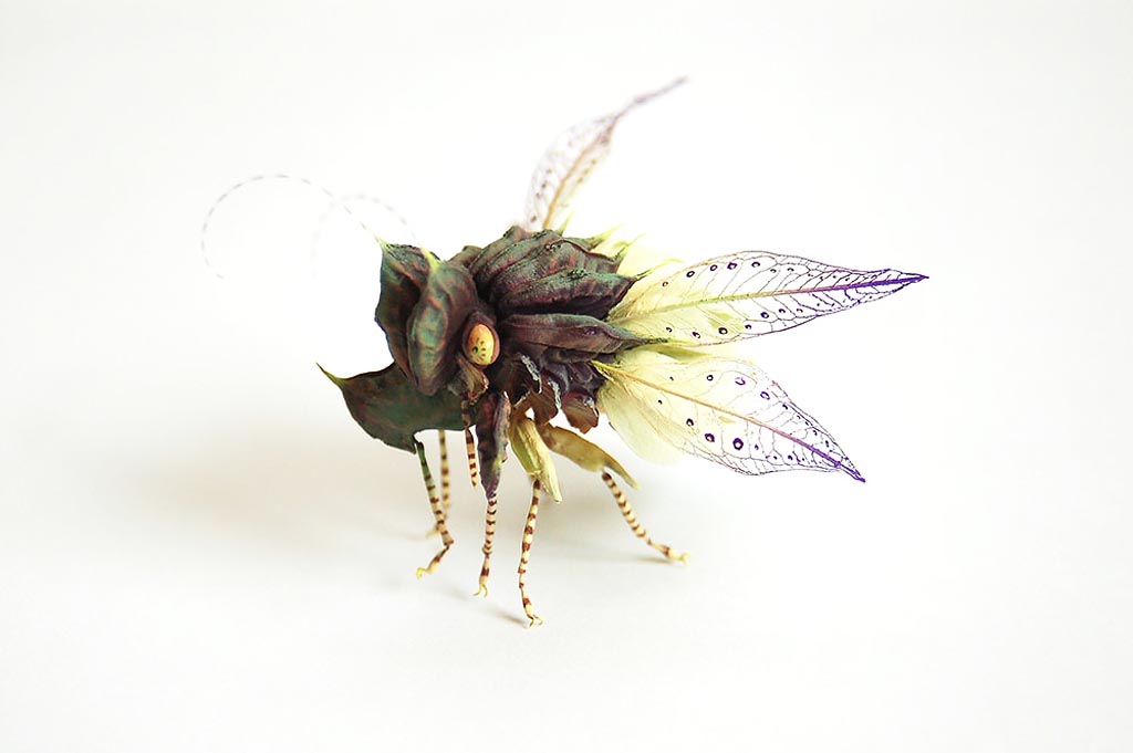 Hiroshi Shinno Insects