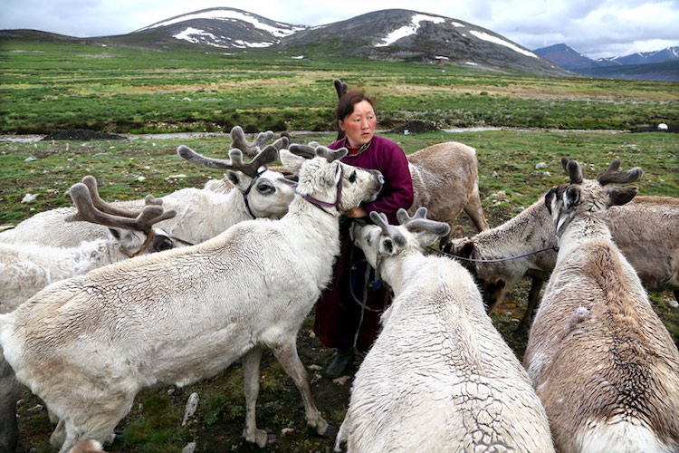 Nomadic Life in Mongolia