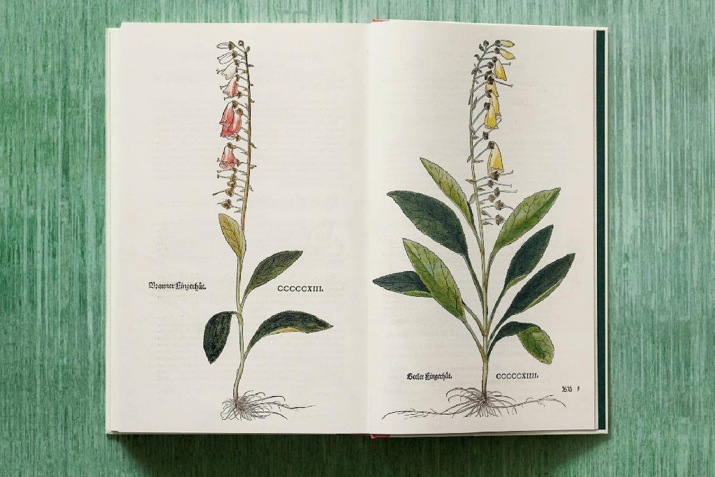 900 page book catalogs hundreds of medicinal plants