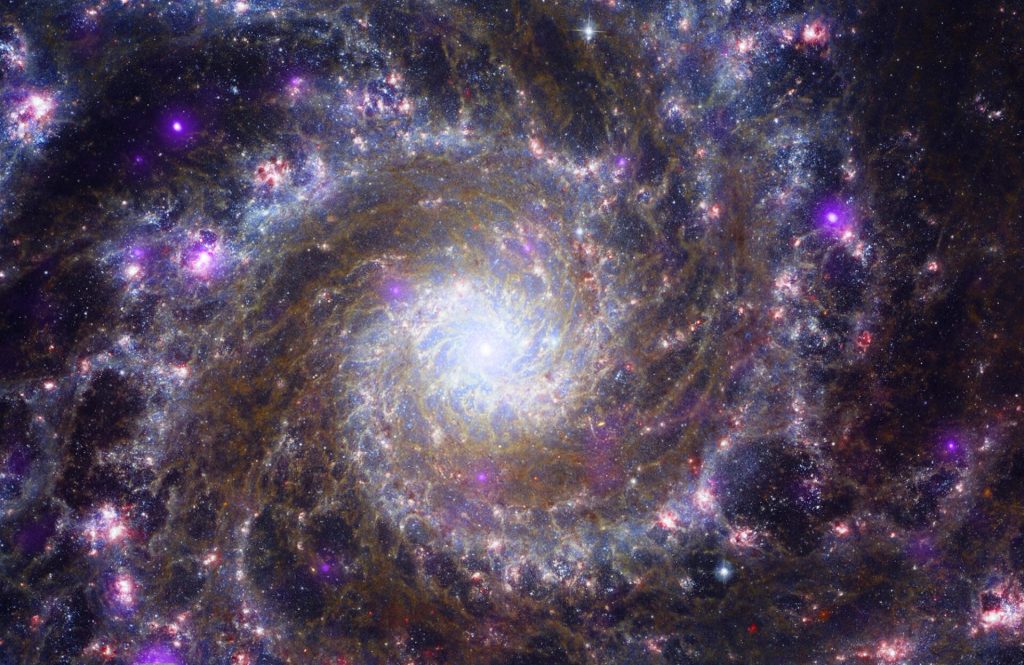 Chandra Webb Hubble