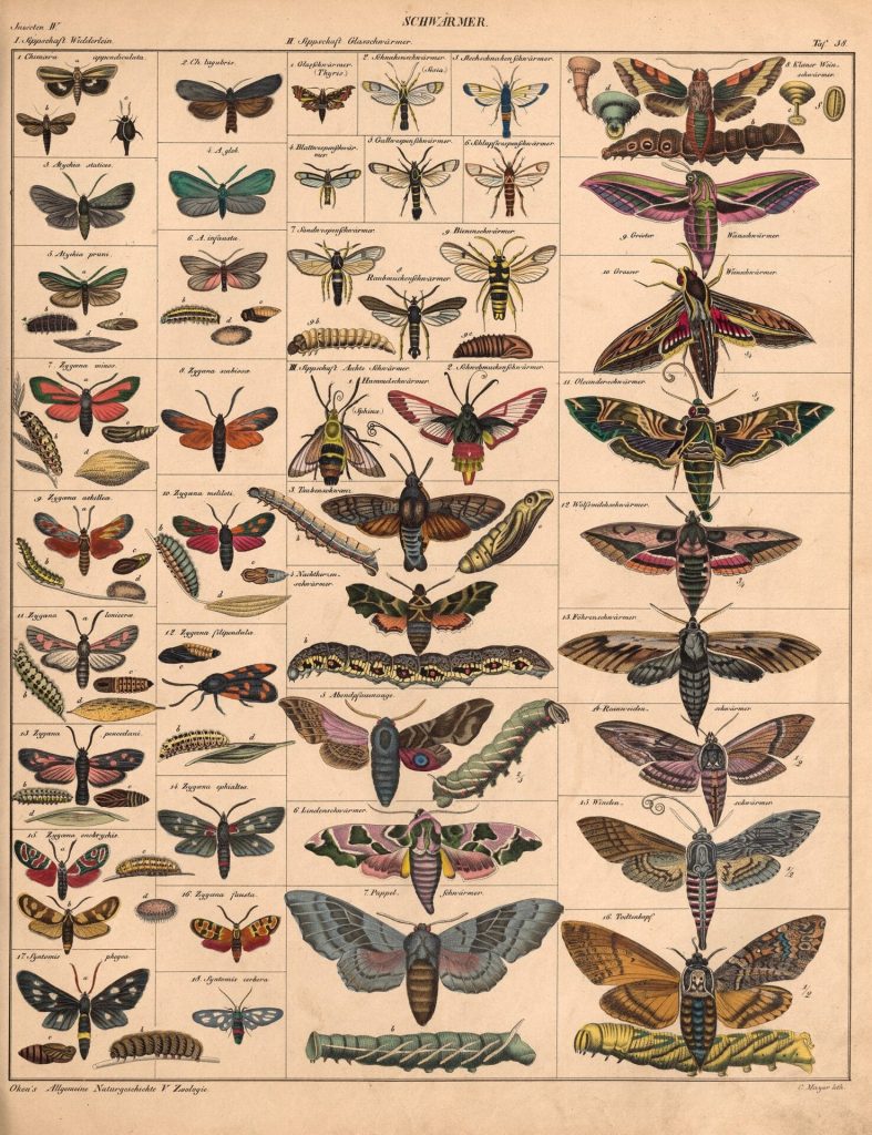 Atlas of Natural History