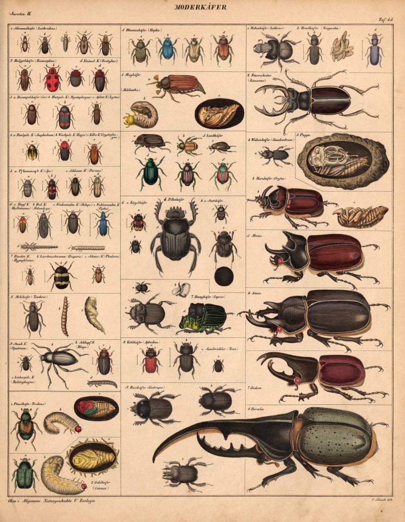 Atlas of Natural History